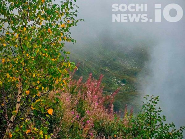Туман и дожди продолжаются в Сочи