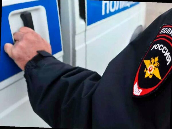 В Сочи обнаружили полтонны нелегальных морепродуктов