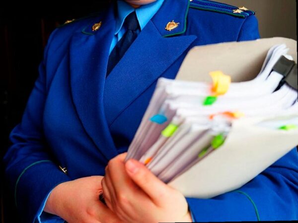 Тренеры без образования и опасные помещения в школе боевых искусств в Сочи