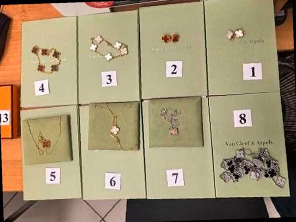 В Сочи задержали женщину с контрабандой драгоценностей на 32 млн рублей