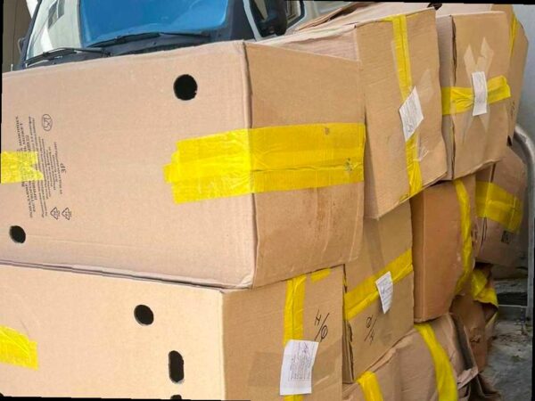 В Лазаревском районе изъяли более 350 литров контрафактного пива