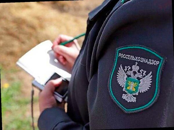 В Адыгее обнаружены зоны с опасным сорняком