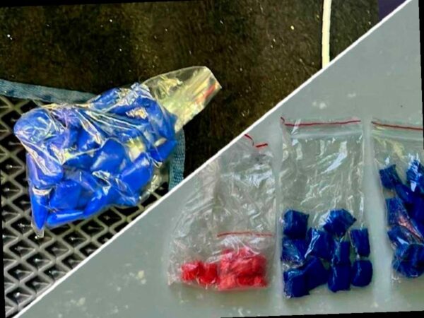 Сочинец задержан с более чем 50 свертками с наркотиками