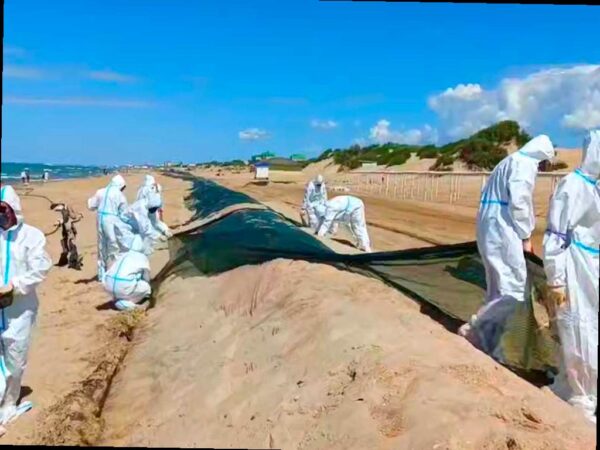 На пляжах Анапы убирают защитный вал