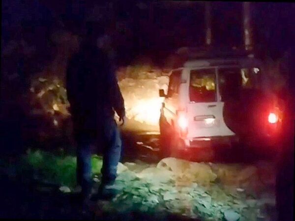 Четыре женщины заблудились ночью в лесу