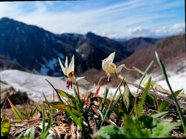 В Сочи откроется фотовыставка победителей конкурса «Четыре сезона красоты»