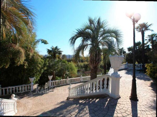 В парке «Южные культуры» в Сочи будет проведен исторический флешмоб