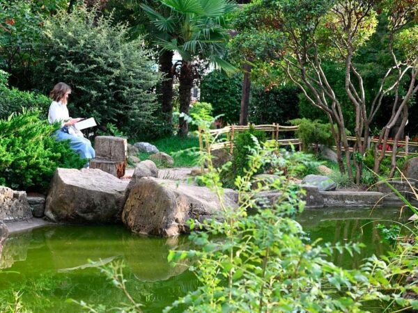 На реконструкцию Сада Российско-Японской дружбы в Сочи выделено 15 млн рублей