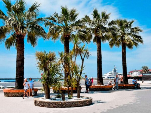 В Сочи собрали более 470 млн рублей туристического налога