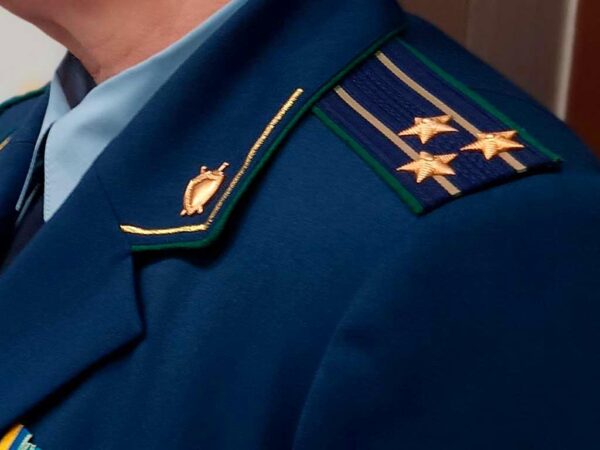 Прокуратура Сочи просит суд разобраться с незаконным комплексом, который был построен на охраняемой территории с нарушениями. Этот комплекс принадлежит Эдуарду Каладжяну, который, как сообщают СМИ, является дядей криминального авторитета Рубена Татуляна, известного как Робсон. Информация об иске размещена в картотеке Адлерского районного суда Краснодарского края.