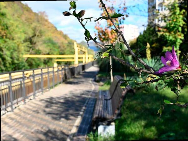 В Лазаревском районе Сочи откроется новая зона для прогулок