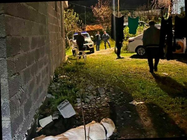 Алабай атаковал двух детей в Сочи