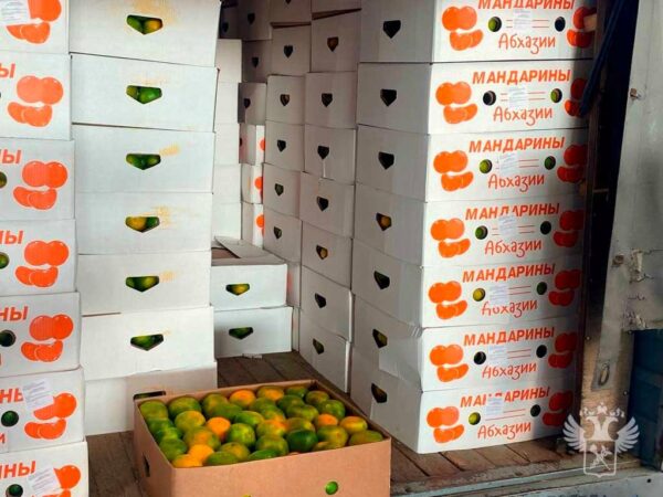 На российско-абхазской границе начался «мандариновый сезон»