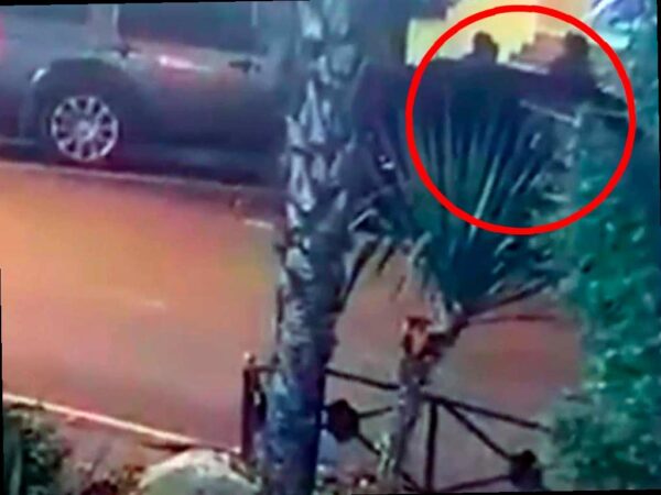 Пьяные приезжие совершили серию краж в Сочи