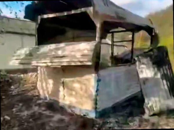 В Сочи неизвестные зажгли двух собак