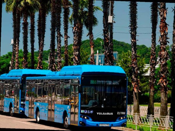 В Сочи изменятся маршруты автобусов на время матча Россия — Чили