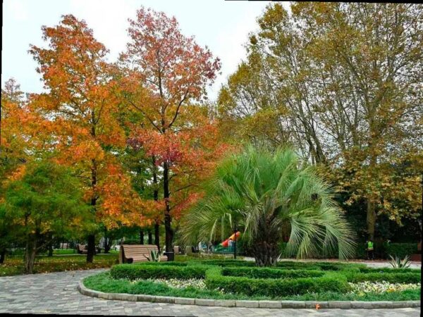 В Хосте открыли обновленный парк 50 лет Победы