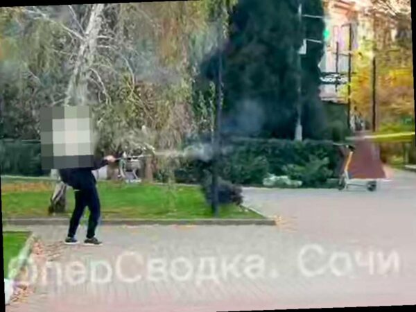 В Сочи юные вандалы осквернили воинский мемориал