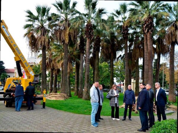 В центре Сочи сквер «Кооперативный» будет обустроен