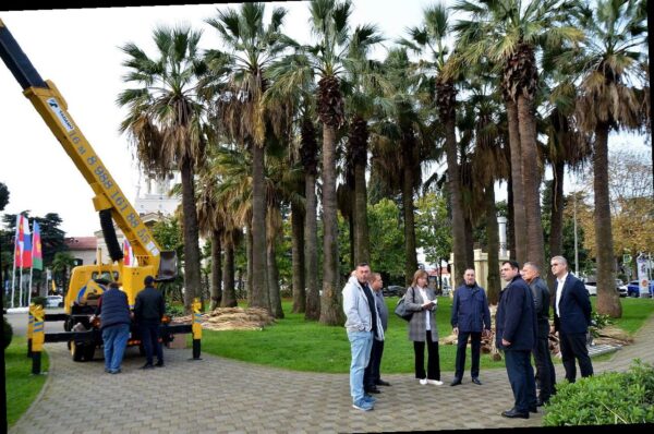 «Виктор Тепляков привел красоту сквера ‘Кооперативный'»