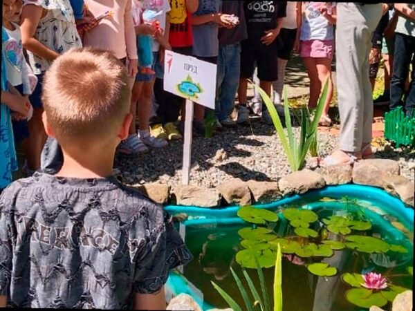 Три школы Сочи получат по 100 тысяч рублей на экопроекты