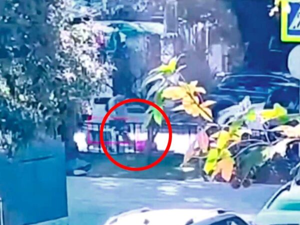 Житель Сочи потерял чемодан с деньгами, нашедшему грозит срок