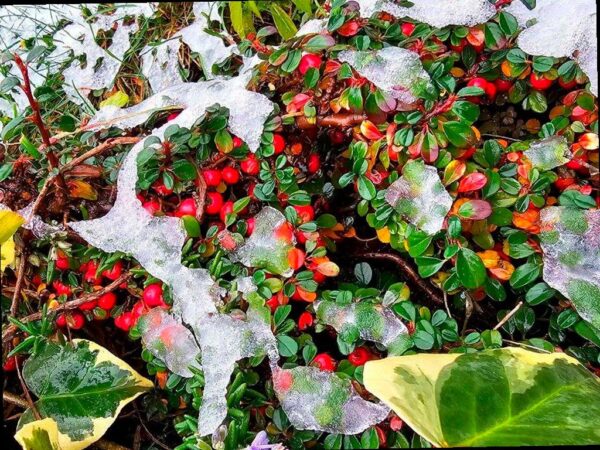 Холодная погода приближается к Сочи