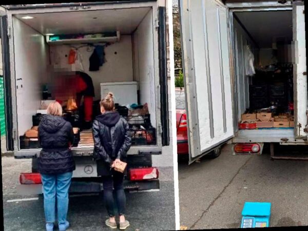 В Сочи усилили борьбу с нелегальной торговлей рыбой