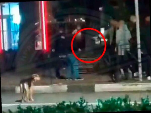 Ночная драка возле бара на Курортном проспекте в Сочи