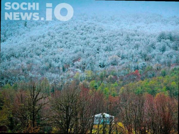 В горах Сочи ожидаются сильные снегопады