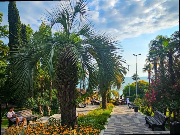 Рост туристов в Сочи: новый рекорд ожидается в 2025 году