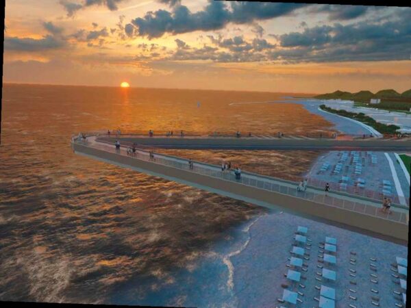 В Сириусе появится самая длинная в Европе подвесная экотропа