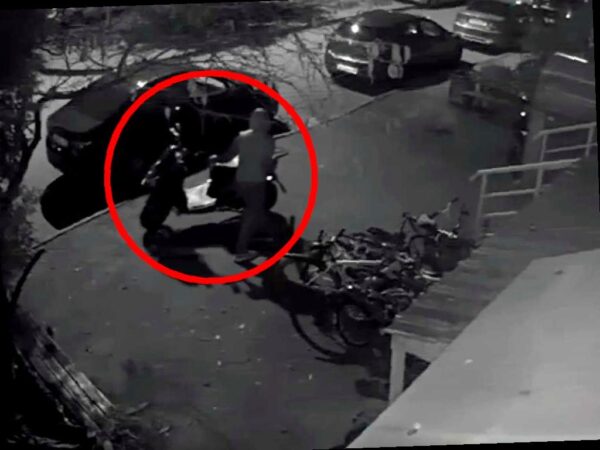 Задержан похититель мопеда в Адлере в преддверии Нового года