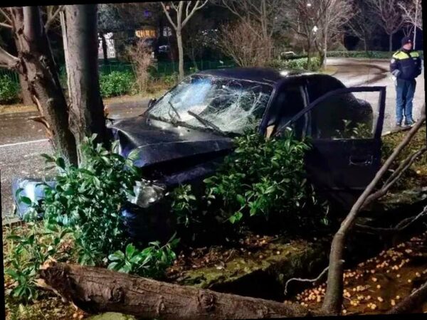Подросток на машине протаранил дерево в Сочи