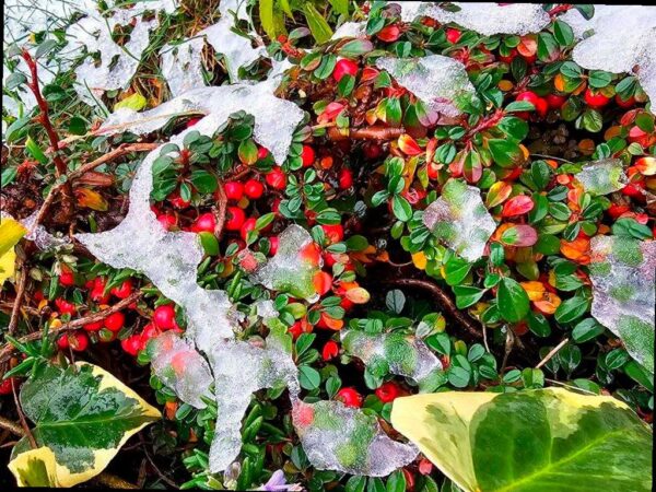 Сильный снег ожидается в предгорьях Сочи 16 января