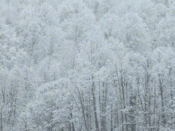 В горах Сочи ожидается сильный снегопад