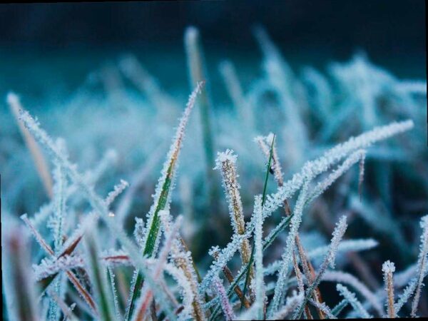 Шторм, снег и гололед: погода в Сочи на 26 февраля
