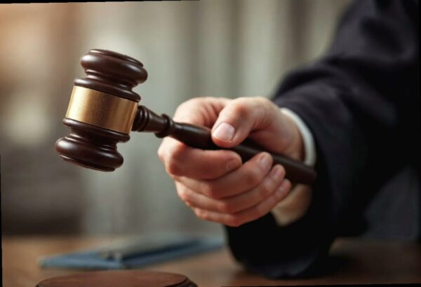 Верховный суд рассмотрит спор мэрии Сочи и СНТ «Крокус» за участок в Р