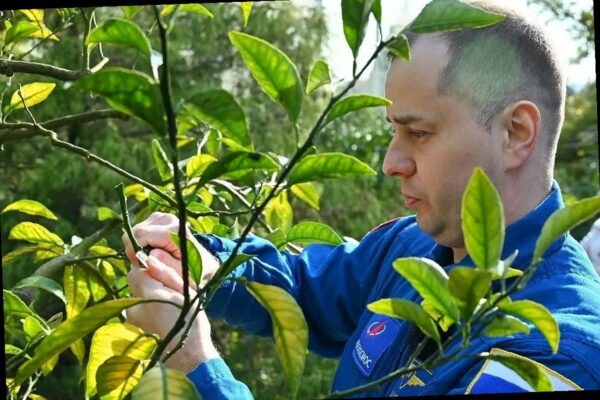 Космонавт Олег Платонов прошёл реабилитацию в Сочи и оставил «след» на